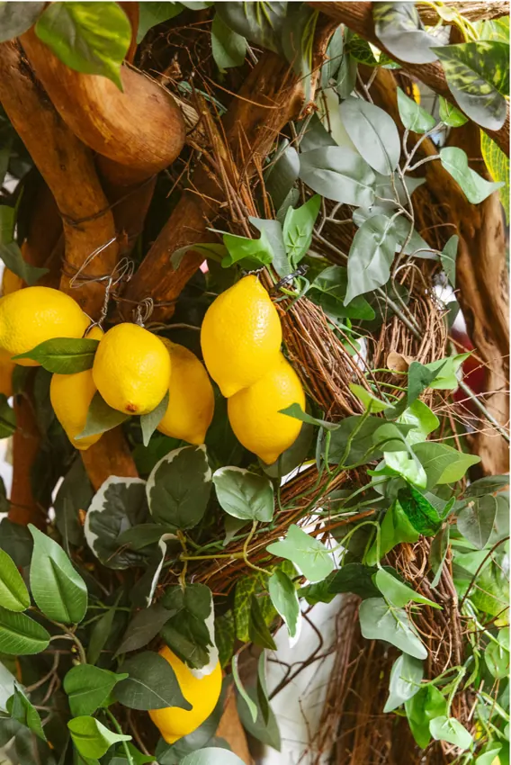 Limones y follaje de Mandolina