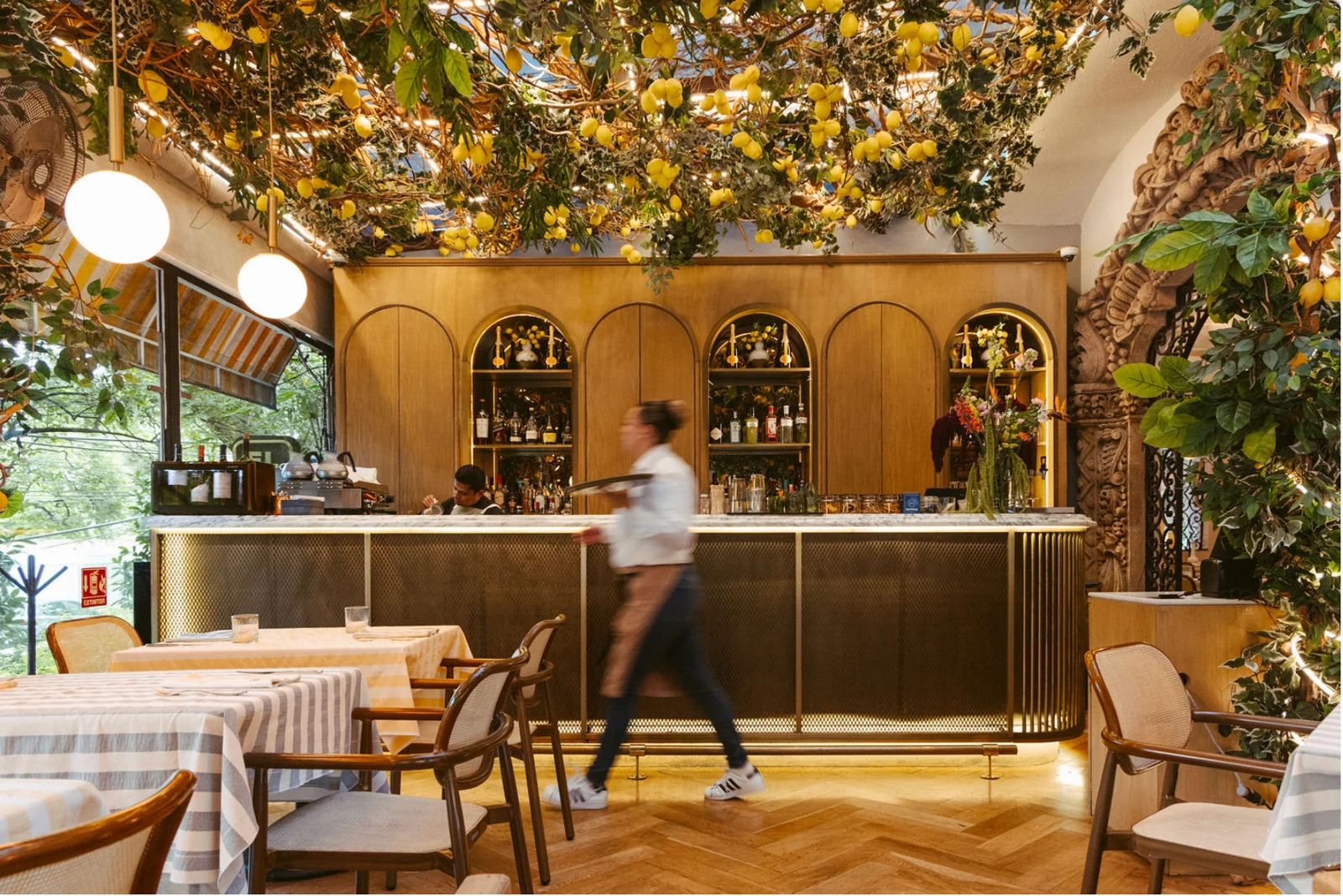 Bar de Mandolina bajo los limoneros